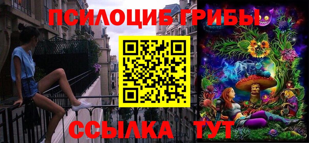 Псилоцибиновые грибы Psilocybe Кимры
